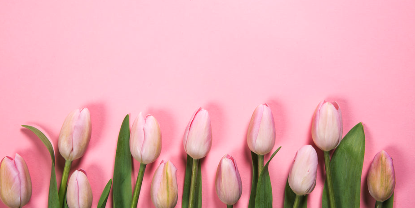 Spring Home Maintenance Checklist: