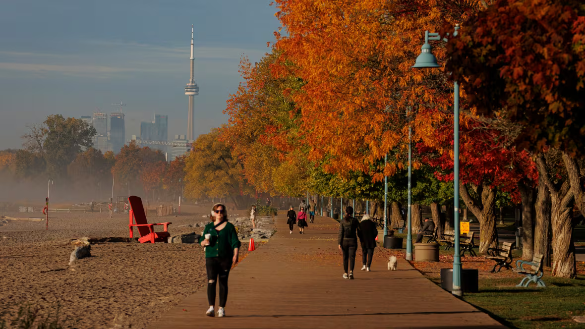 🍁 Fall in Love with Toronto: The Best Things to Do This Season