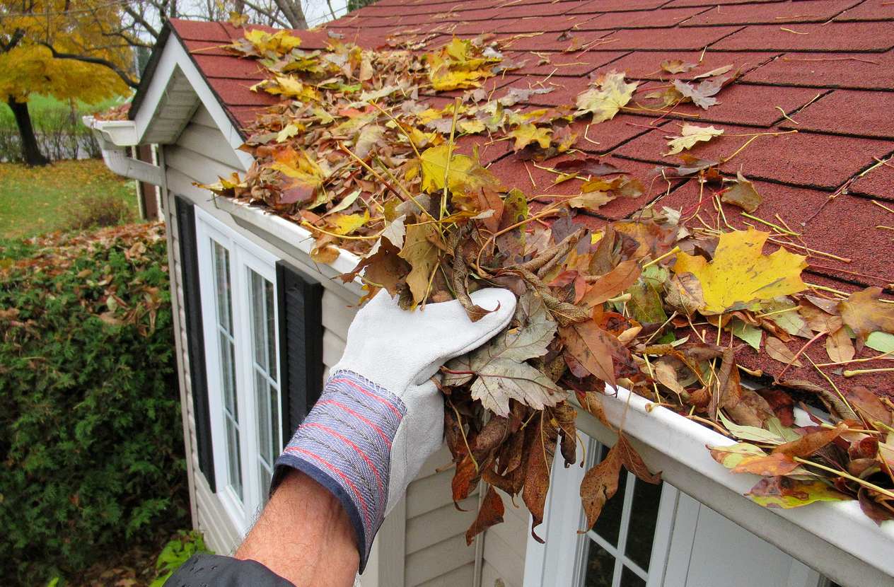 Fall Home Prep in Toronto: 7 Things Every Homeowner Should Do Before Winter
