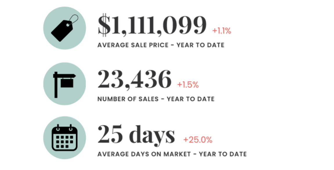 November 2024 Market Update