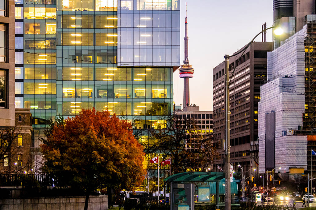 5 Cozy Things To Do This November In Toronto