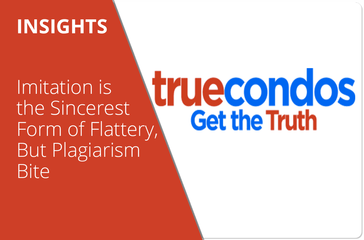 Imitation is the Sincerest Form of Flattery, But Plagiarism Bites