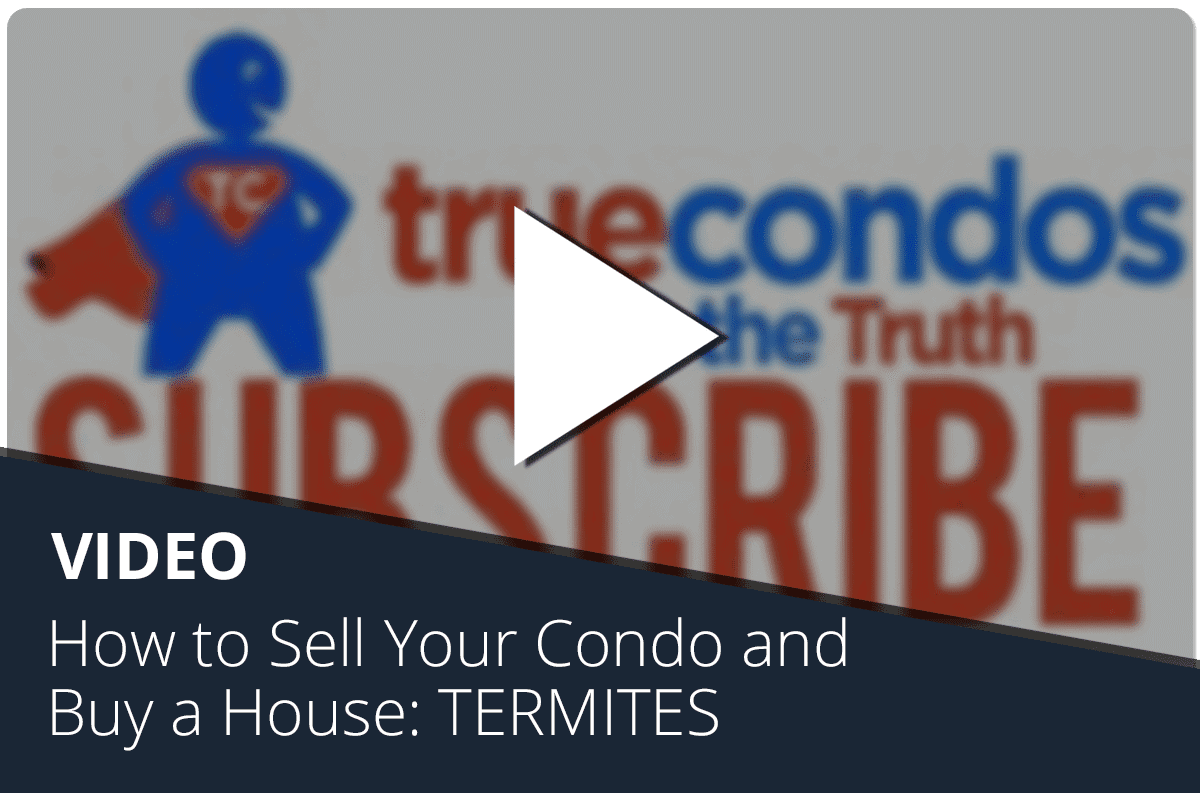 How to Sell Your Condo and Buy a House: TERMITES