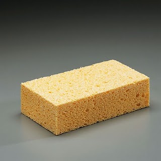 sponge