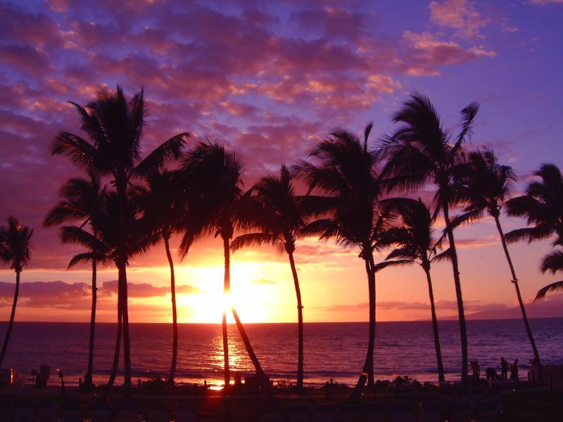 florida sunset