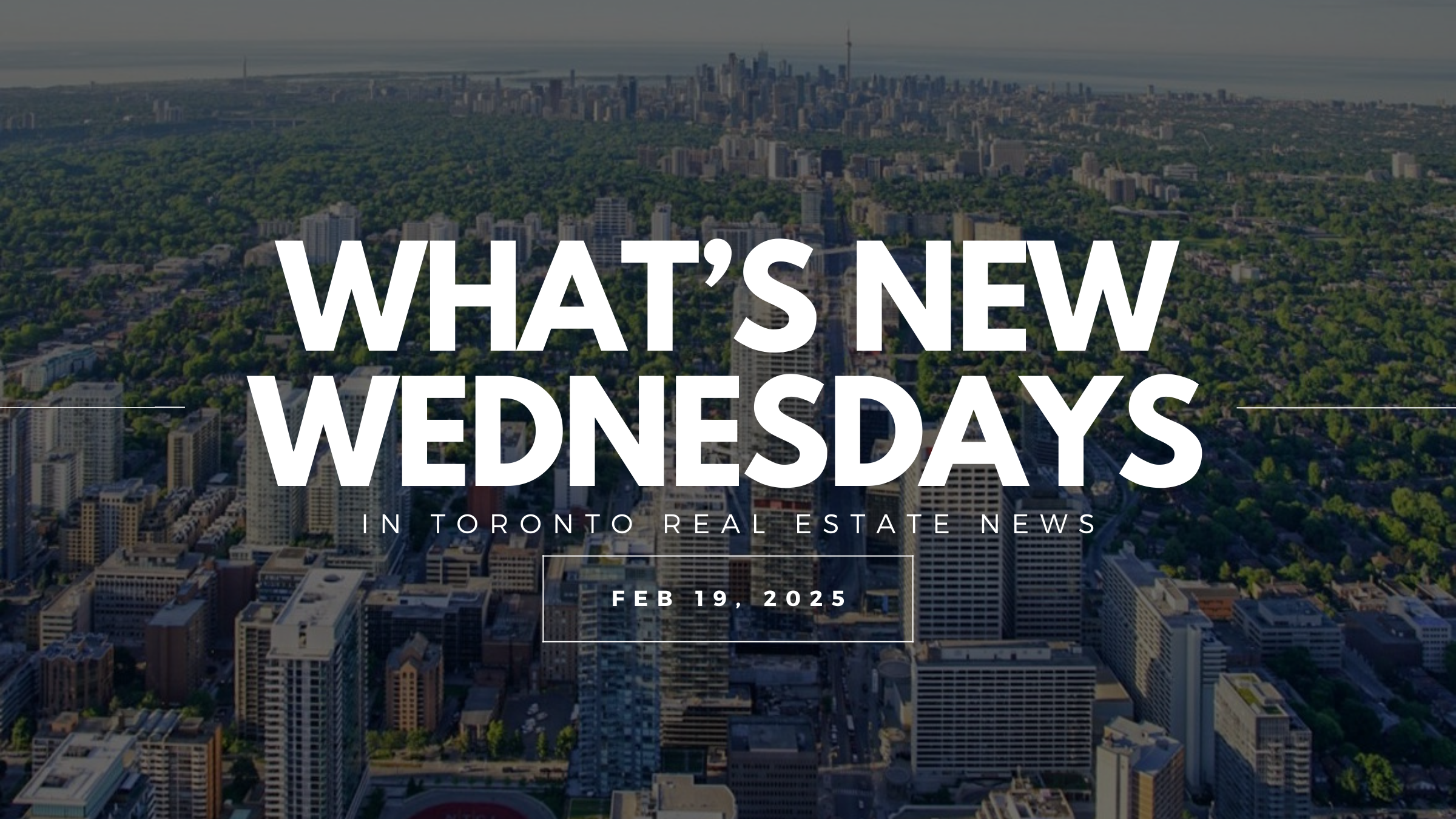 What's New Wednesday - February 19, 2025