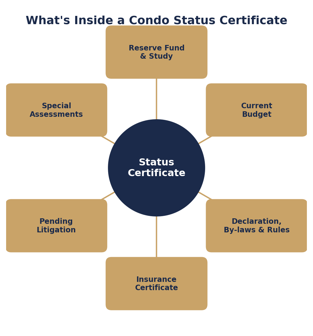 Condo Status Certificate Guide for Toronto Resale Buyers