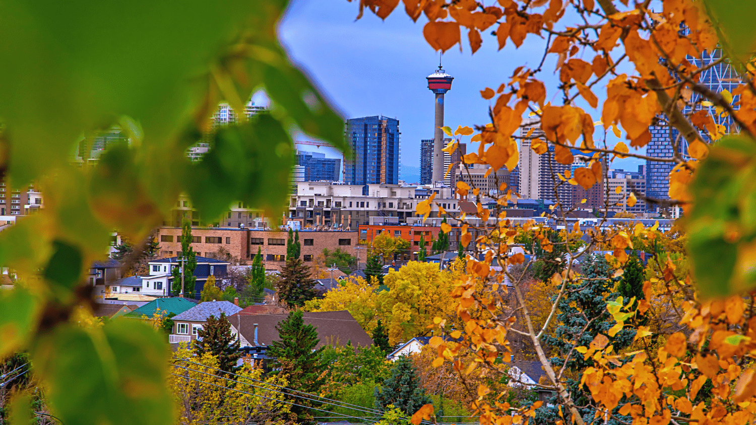 Calgary Housing Report: Unpacking the Data from September
