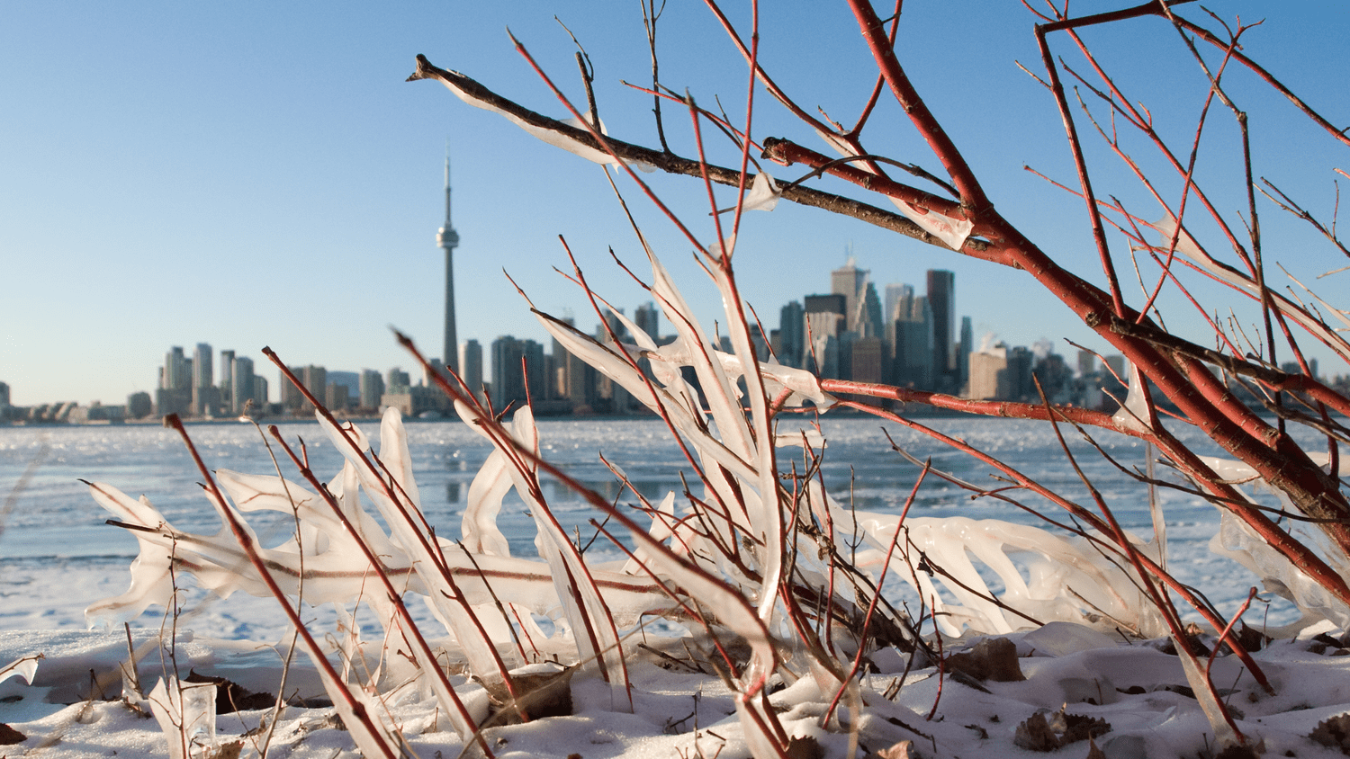 2026 Real Estate Outlook: What Actually Matters This Year