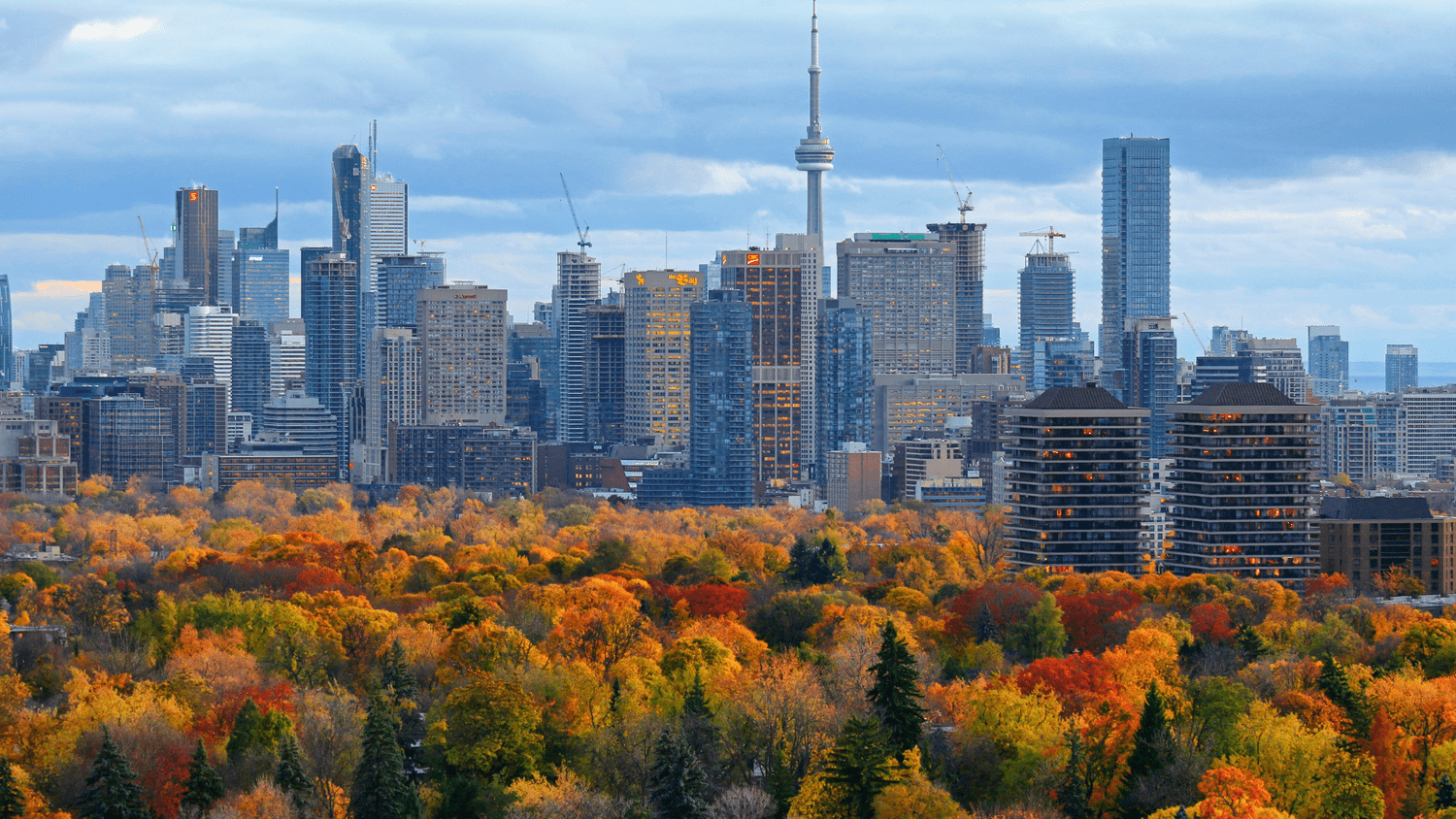 Toronto Real Estate Market Update: Fall 2024 Recap and 2025 Predictions