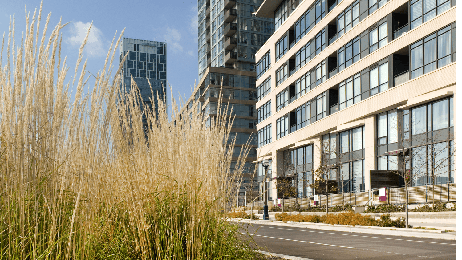 Toronto Condo Market Watch: Where Are the Best Entry Points for First-Time Investors?