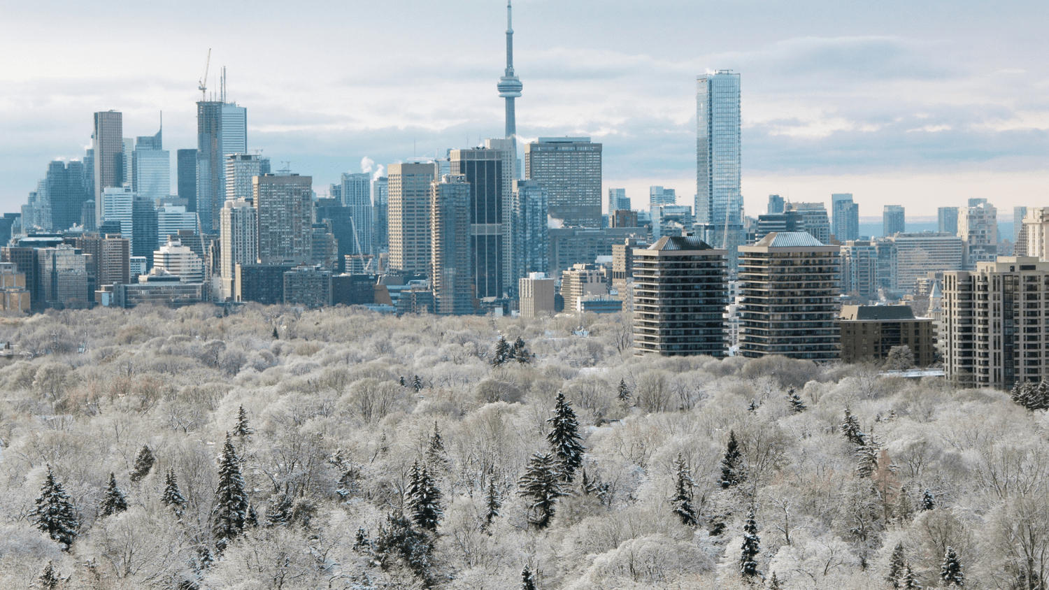 Winter in the City: How Toronto’s Seasonality Creates Investment Timing Opportunities